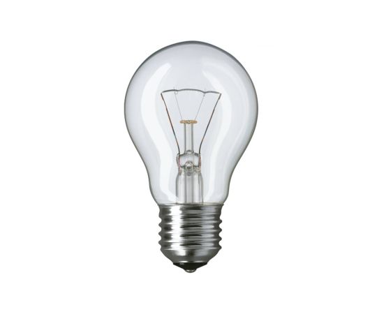 ნათურა ვარვარა PS55 220V 100W E27 Lin4-4227-ლინუსი
