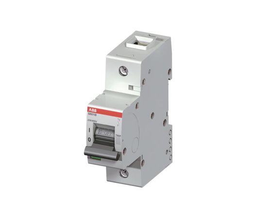 ავტომატ-ამომრთველი 1P 100A 16kA ABB 2CCS811001R0824